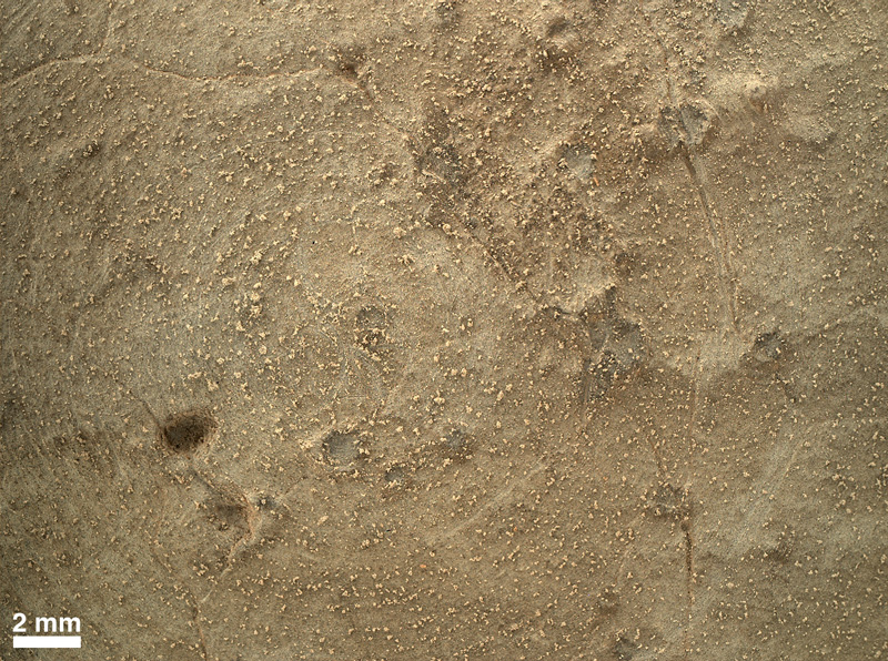   Curiosity-14